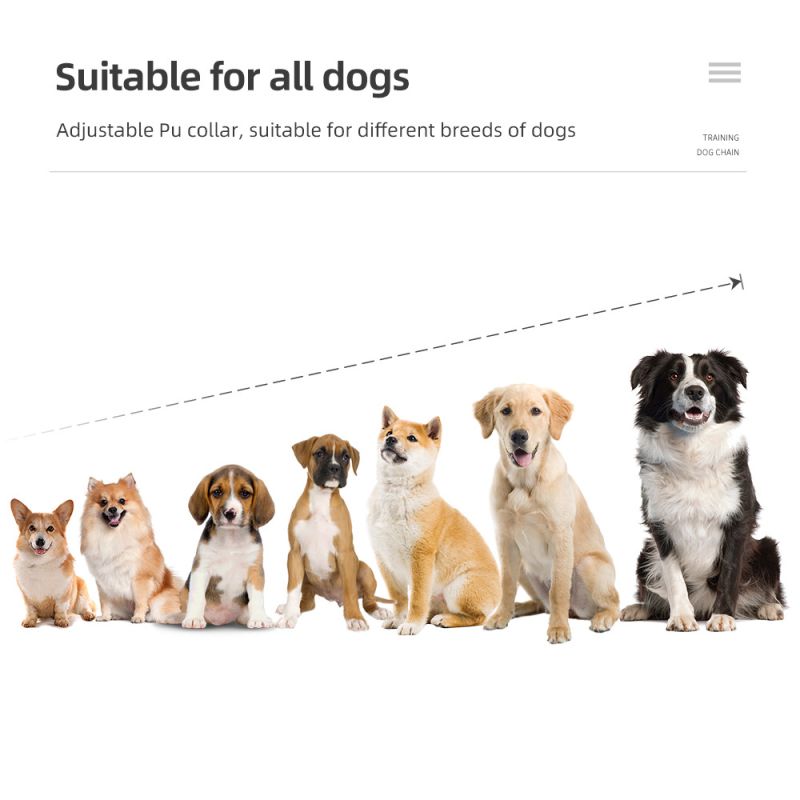 Obroża treningowa dla psów IP7 wodoodporna z regulowanymi poziomami pilot dla zwierząt tryb wibracji i wstrząsu