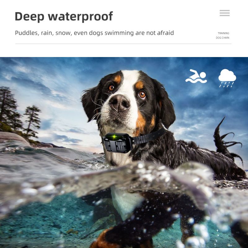 Obroża treningowa dla psów IP7 wodoodporna z regulowanymi poziomami pilot dla zwierząt tryb wibracji i wstrząsu