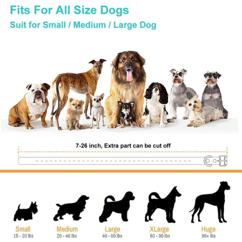 Elektryczna Obroża Treningowa 800m 3w1 Z Pilotem Dla Małych Średnich Dużych Psów Regulowane Tryby Wodoodporna