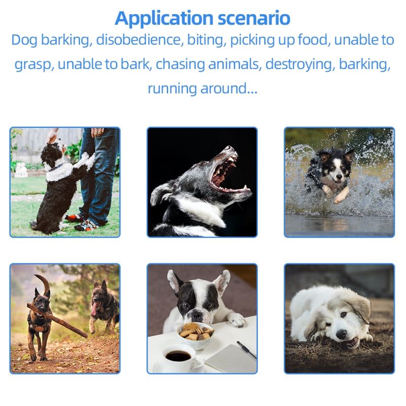 Nowa obroża treningowa dla psów 2021 wodoodporna 500m z LCD i obsługą wielu psów idealna do korekty zachowania