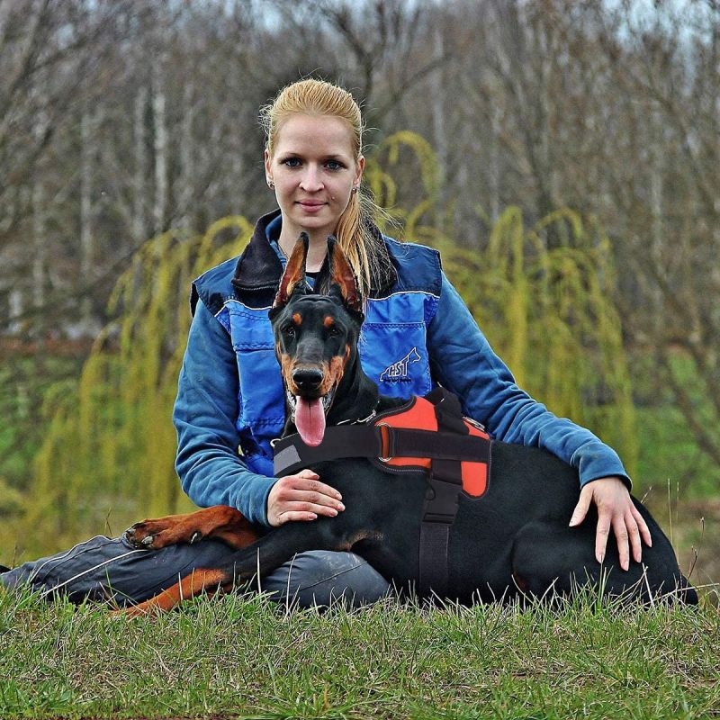 Bezciśnieniowa regulowana uprząż dla psa z uchwytem oddychająca kamizelka odblaskowa na spacery dla średnich psów