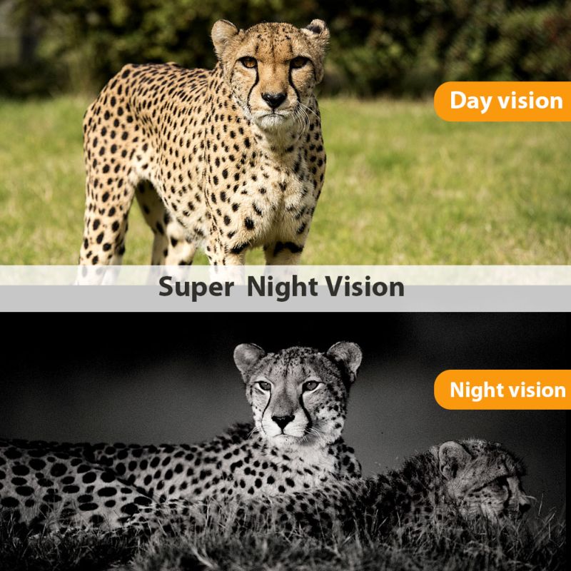 HC801M kamera do dzikiej przyrody 20MP 1080P noktowizja szeroki kąt widzenia 2G MMS SMS SMTP zdalne zarządzanie