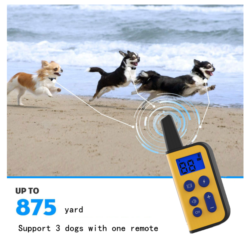 Obroża elektryczna dla psa 1000m zasięg wodoodporna z wyświetlaczem LCD idealna do szkolenie psów na zewnątrz