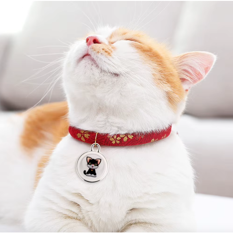 Lokalizator dla psów Airtag Obroża GPS w czasie rzeczywistym Śledzenie Bluetooth Bezpieczeństwo zwierząt