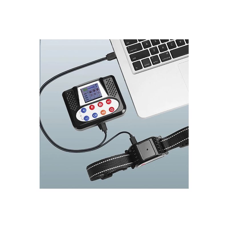 Bezprzewodowe Elektroniczne Ogrodzenie dla Zwierząt z Kolorowym Ekranem Inteligentne Urządzenie do Szkolenia Psów