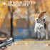 Ultradźwiękowy odstraszacz psów Anti Barking z latarką LED humanitarna modyfikacja zachowań zwierząt