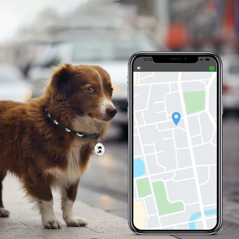 Lokalizator dla psów Airtag Obroża GPS w czasie rzeczywistym Śledzenie Bluetooth Bezpieczeństwo zwierząt