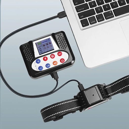 Bezprzewodowe Elektroniczne Ogrodzenie dla Zwierząt z Kolorowym Ekranem Inteligentne Urządzenie do Szkolenia Psów